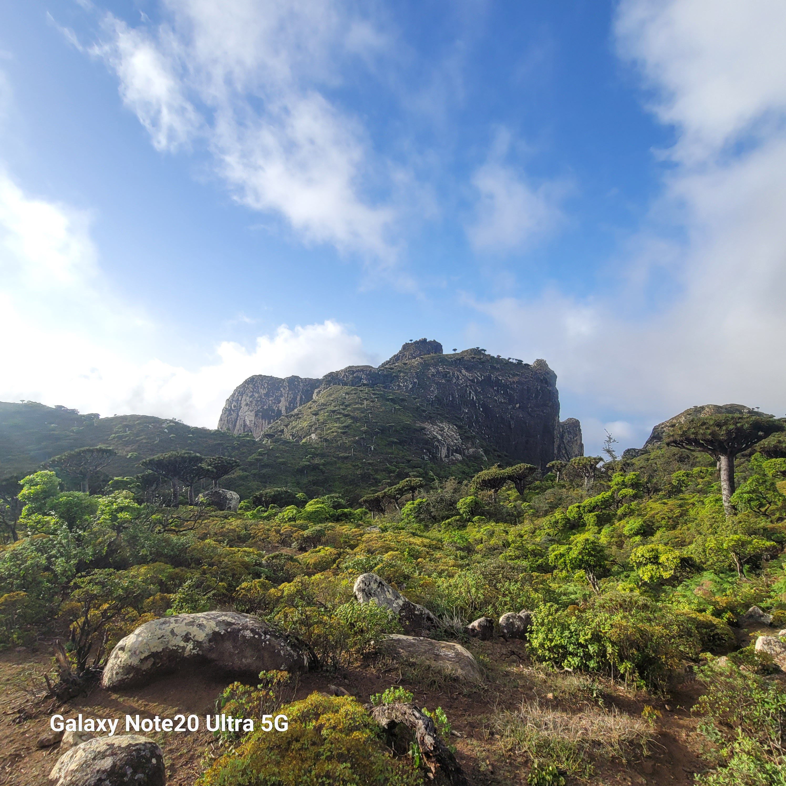 Socotra visitor moment